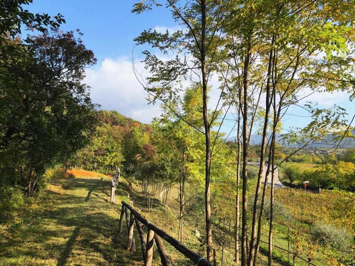 Agriturismo Ca' Cristane Rivoli Veronese Экстерьер фото